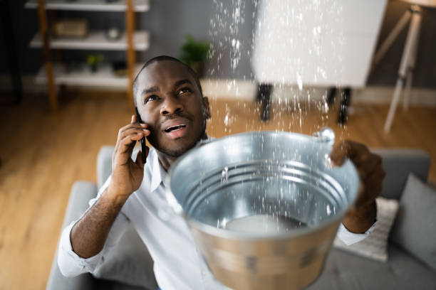 Best Mold removal after water damage  in Washingtonville, NY