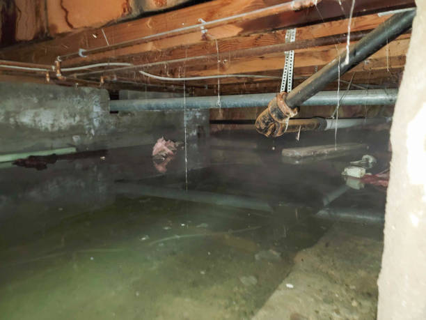 Best Water damage restoration near me  in Washingtonville, NY