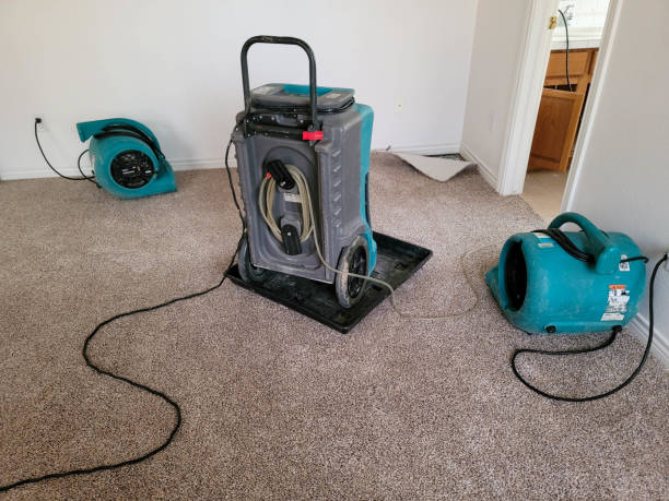 Best Water damage contractors near me  in Washingtonville, NY