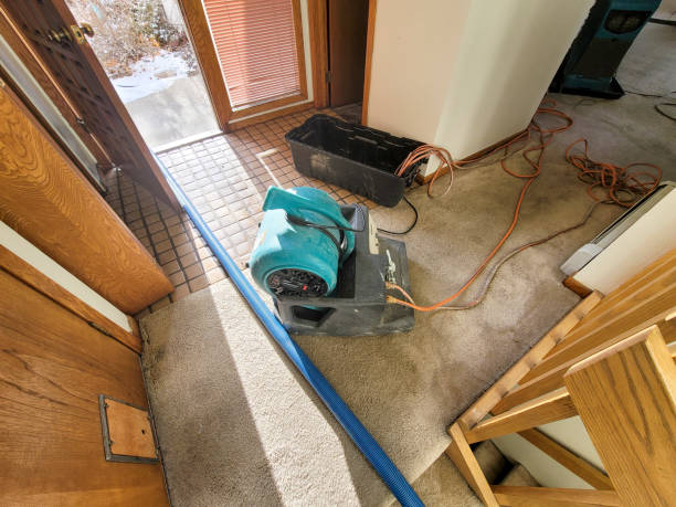 Best 24-hour water damage restoration  in Washingtonville, NY