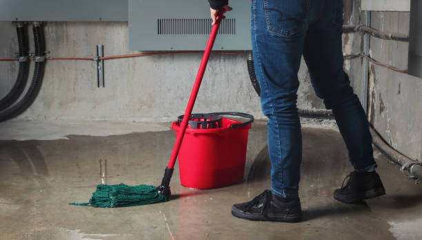 Best Flood damage cleanup  in Washingtonville, NY