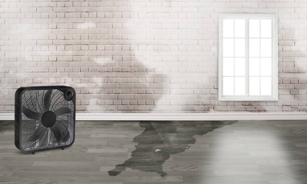 Best Emergency water damage restoration  in Washingtonville, NY