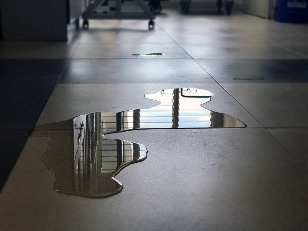 Best Water damage restoration cost  in Washingtonville, NY