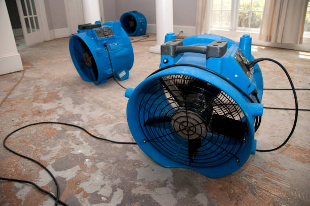 Best Ceiling water damage repair  in Washingtonville, NY