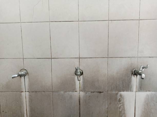 Best Carpet water damage restoration  in Washingtonville, NY