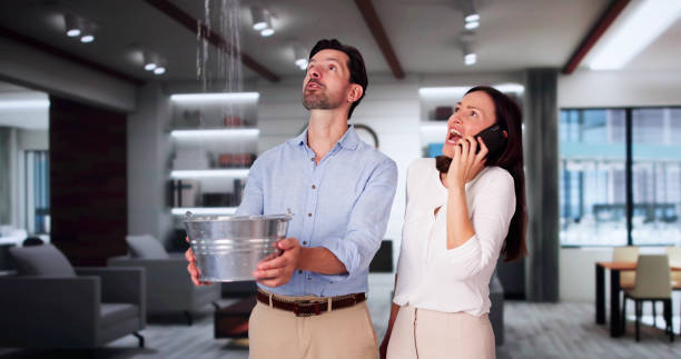 Best Professional water damage repair  in Washingtonville, NY